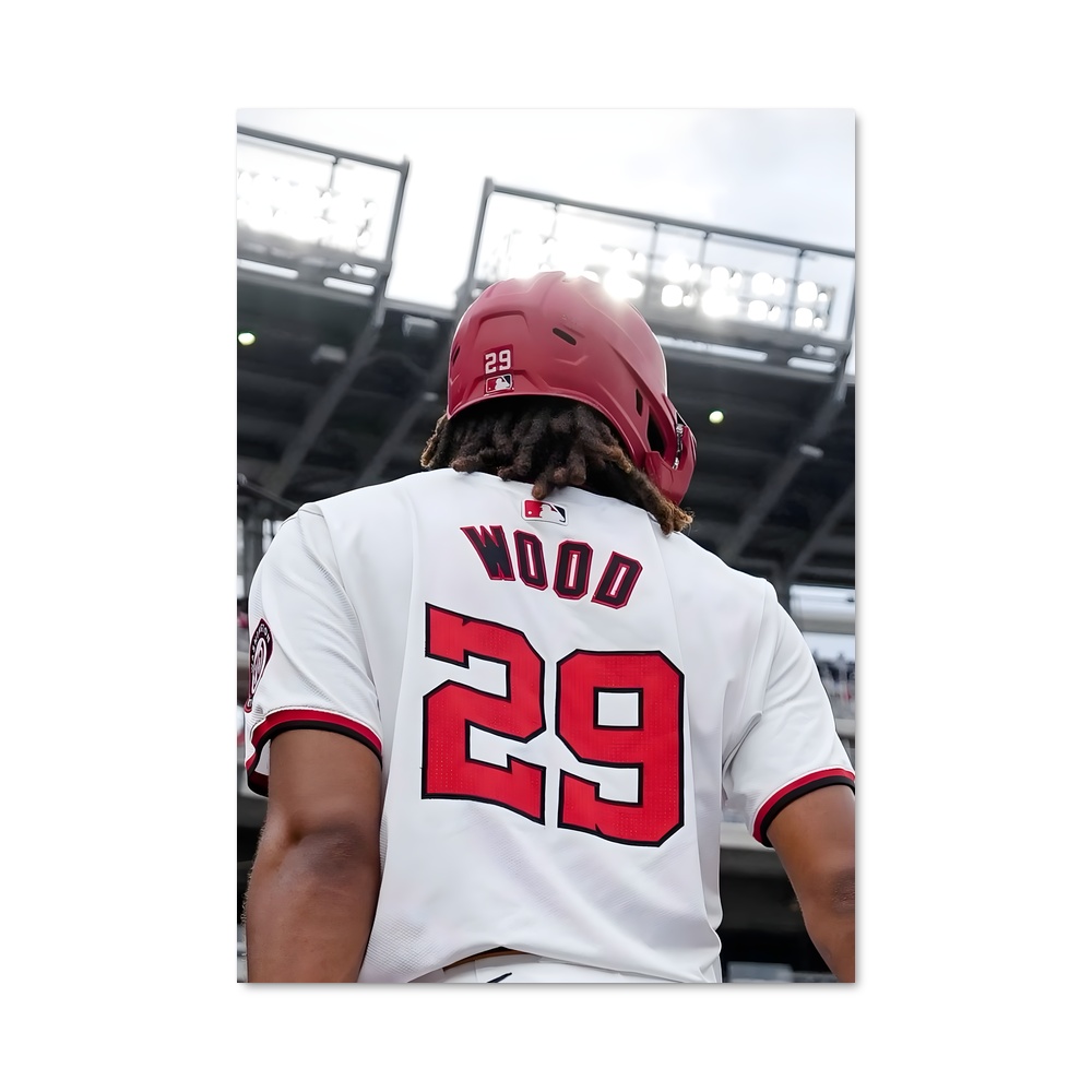 Poster Washington nationals – affiche Baseball